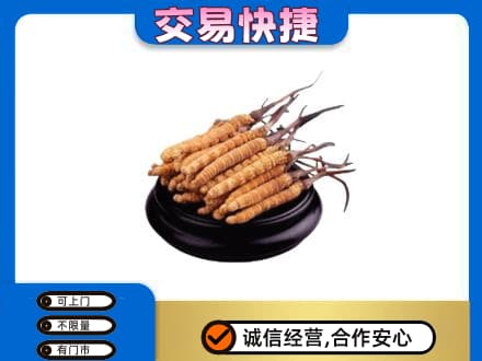泉州礼品回收散虫草.jpg